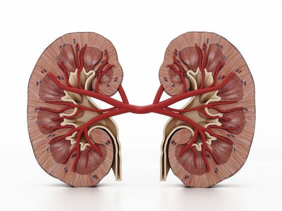 Diabetic Nephropathy